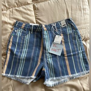 Judy Blue Multicolor Striped Jean Shorts